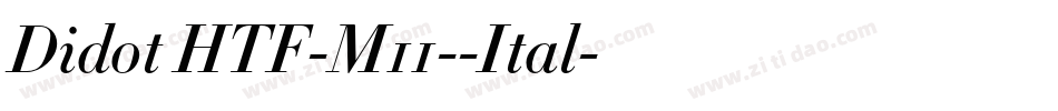 Didot HTF-M11--Ital字体转换